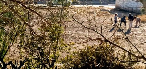 120095614_3967750356574006_1207970970404097770_n