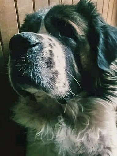 131937724_4243247692357603_7962040776466409253_n