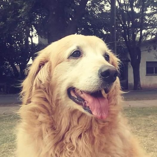 322380481_1901196013605561_1032016600758913489_n