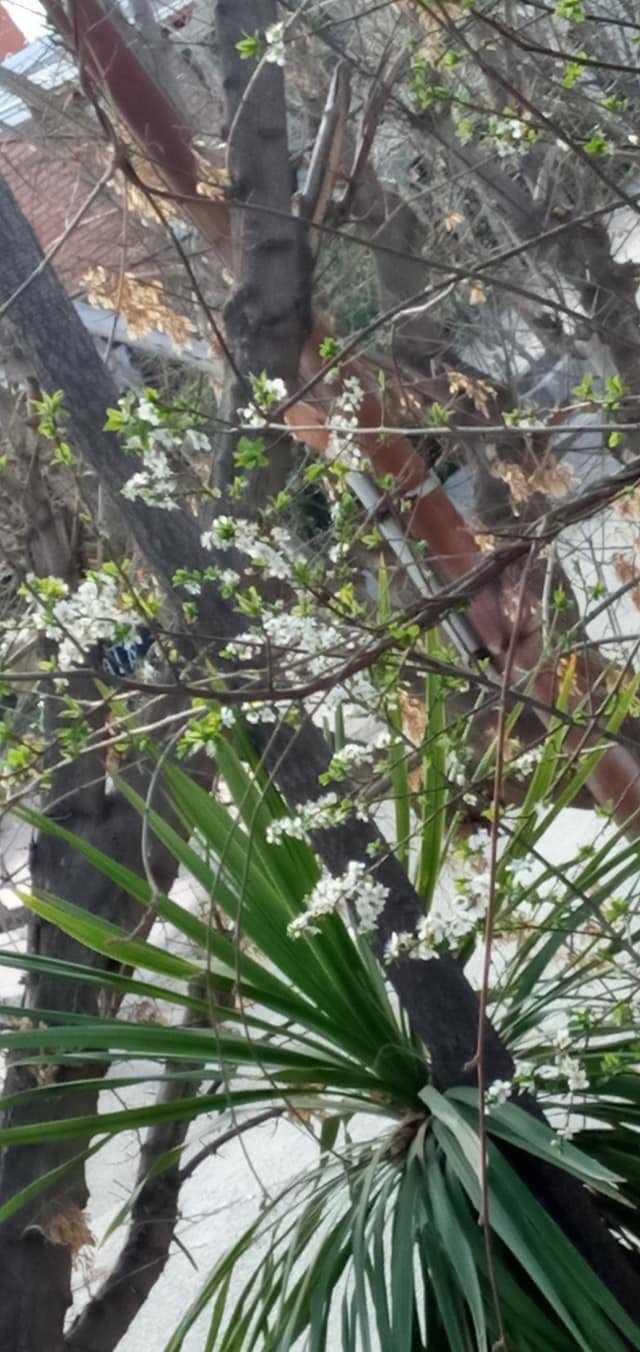 239617821_4970263809655984_2540341989983529568_n