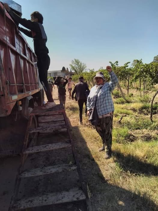 484051962_1097869502379291_3332104158593584960_n (1)