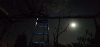 ESCALERA A LA LUNA