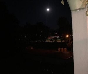 LUNA DE CIERVO