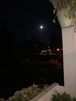 Luna de Ciervo
