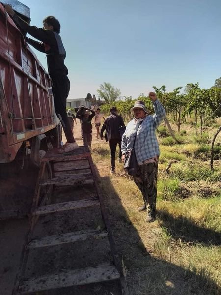 339101262_596329575728773_8746641419002828038_n