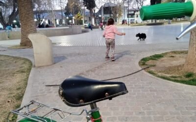 DOMINGO EN LA PLAZA