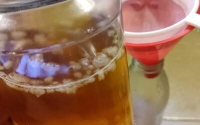 Dónde Estará la Poesía