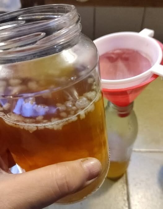 Dónde Estará la Poesía