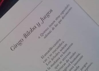 Gingo Biloba y Juegos