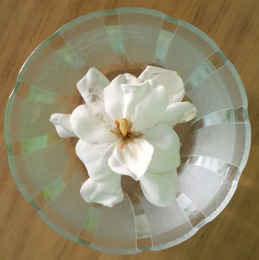 484238754_1097676762398565_8471892184536871167_n