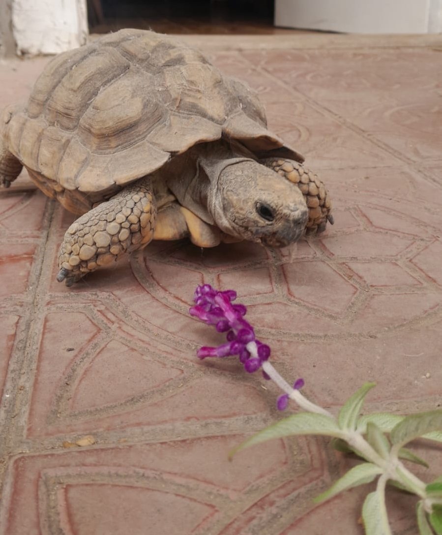 484975704_1103404261825815_4937986004803020692_n