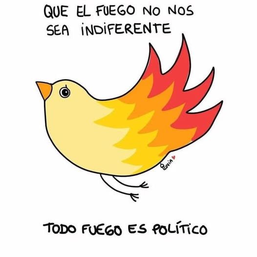 484940413_1105274894972085_7477419725239721684_n