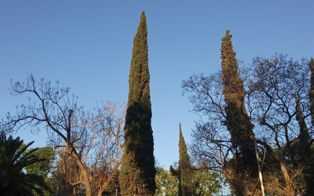 A Nuestra Claudia Marcela