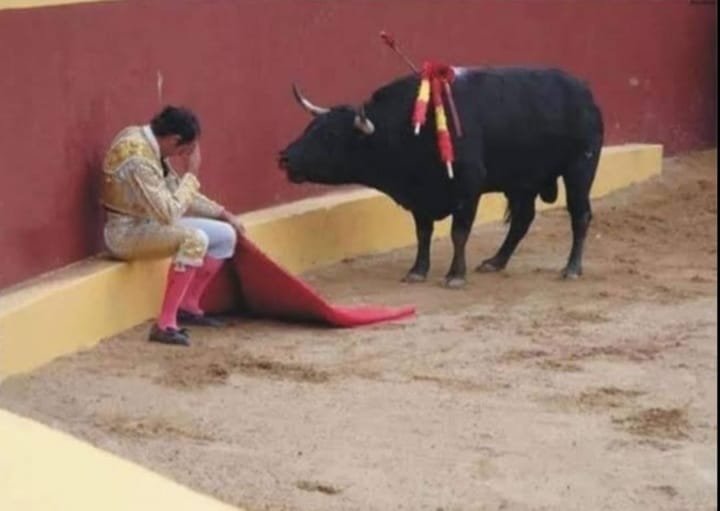 485372144_1105505288282379_3180671727796118885_n