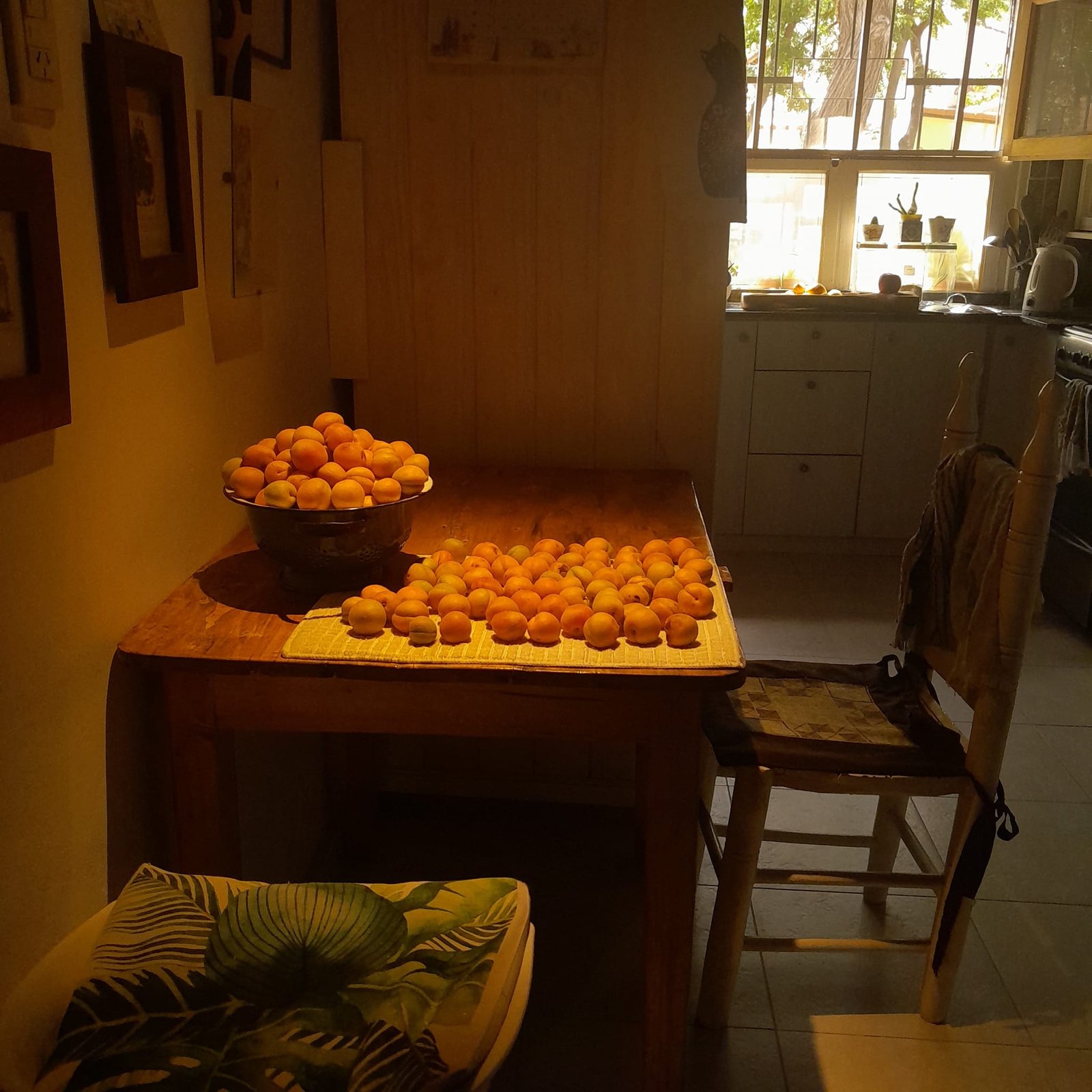 485928124_1106966634802911_3778589620983321611_n