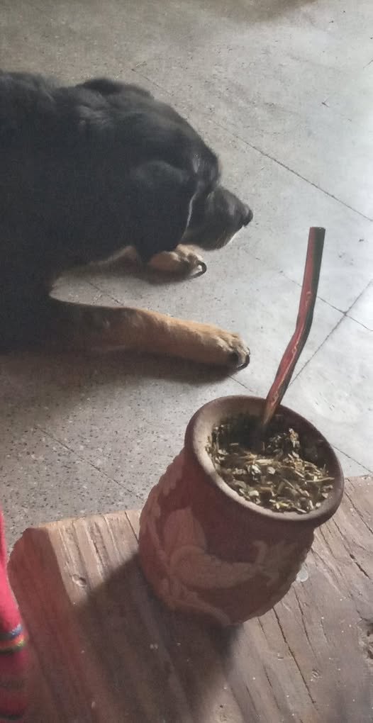 486165783_1106882911477950_6917983866381950361_n